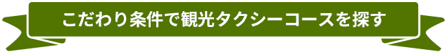 観光タクシーを条件で探す