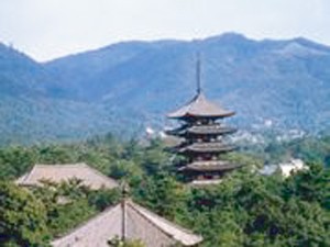 法隆寺・西の京・奈良公園コース