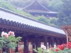 長谷寺・室生寺コース